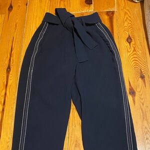 Aritzia Jallade Tie Front Pants